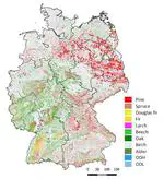 Germany's tree species 2017/2018