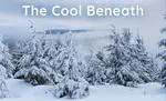 The Role of the Boreal Forest in Insulating Northern Hemisphere Permafrost